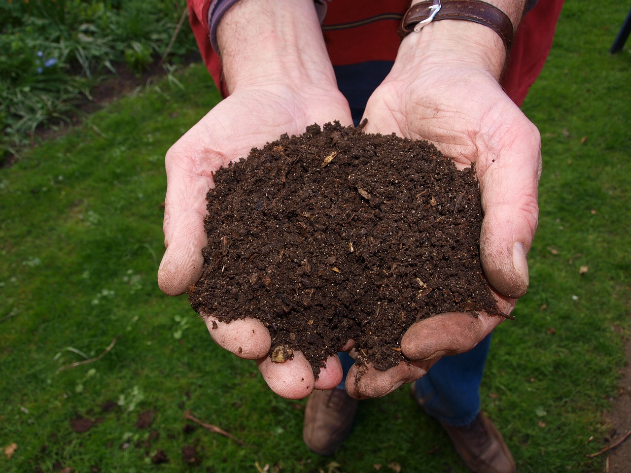 have the soil analyzed