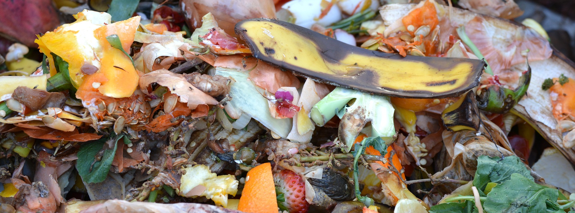 compost g3517a06e5_1920