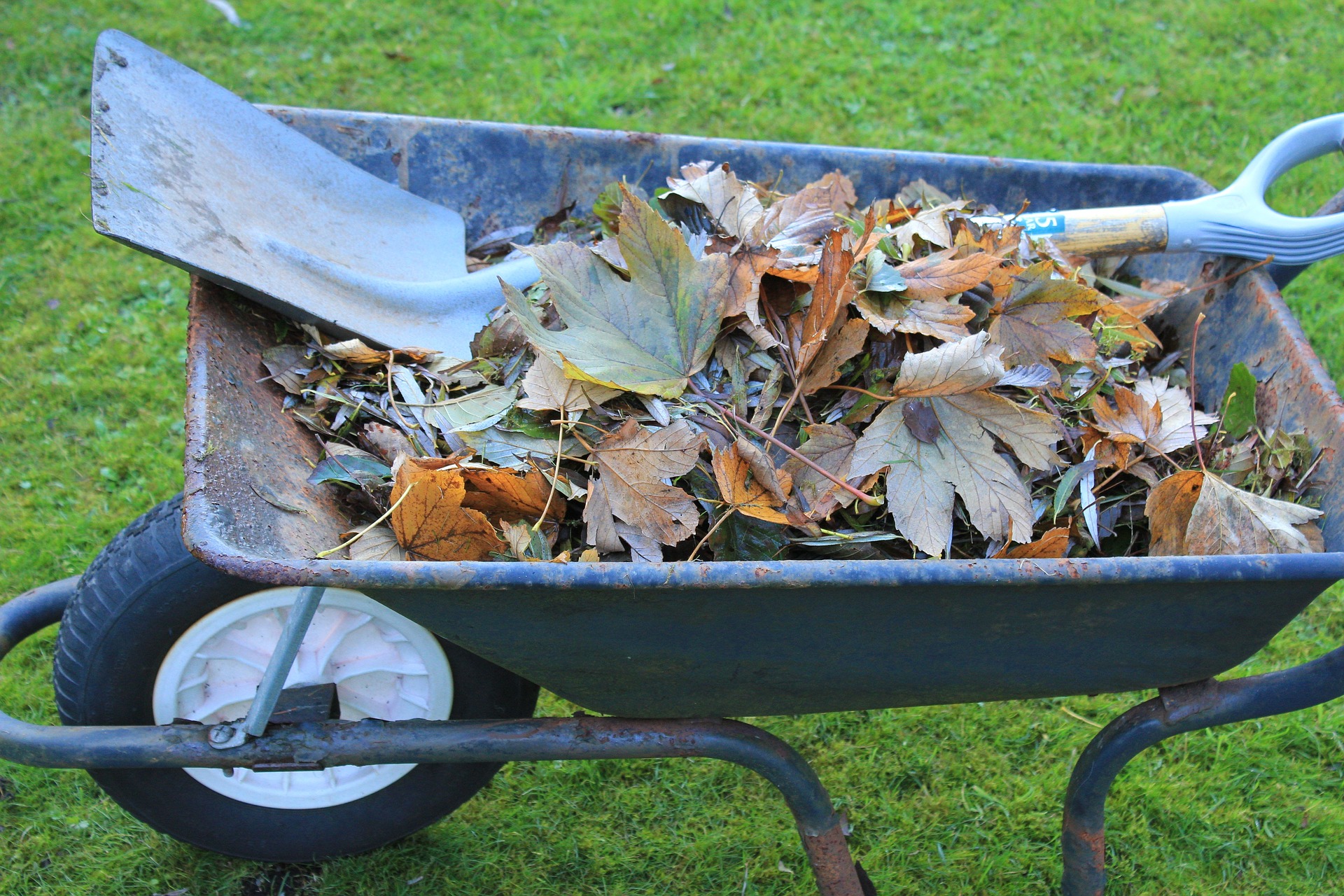 wheelbarrow gd5d19ad89_1920