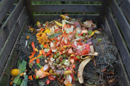 How to Start a Compost Pile 