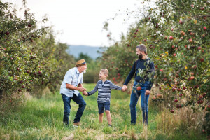 Sowing Orchard Dreams: The Easiest Fruit Trees for Your UK Garden